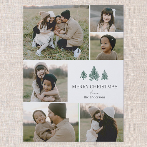 Timeless Pines Holiday Card, White, 6x8 Flat, Christmas, 100% Recycled Cardstock , Square, White