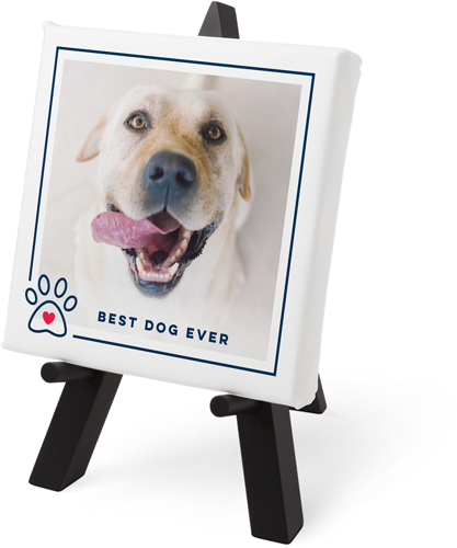 Pet Memorial Canvases