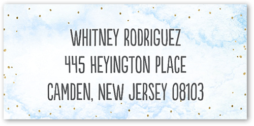 Bonjour Boy Address Label by Sarah Hawkins Designs Tiny Prints