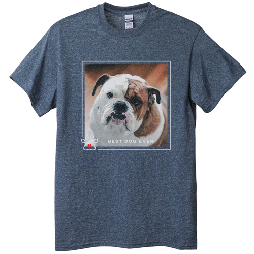 Best In Show Best Dog Ever T-shirt, Adult (L), Gray, Customizable front & back, Brown