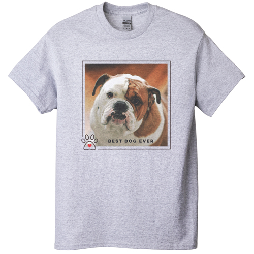 Best In Show Best Dog Ever T-shirt, Adult (XXL), Gray, Customizable front, Brown, taupe