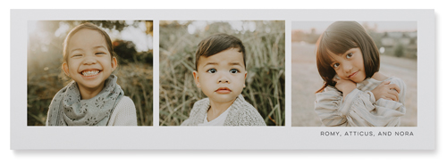 Three Of A Kind Wall Art, No Frame, Single piece, Mounted, 12x36, Multicolor, multi