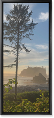 Photo Gallery Pano Portrait