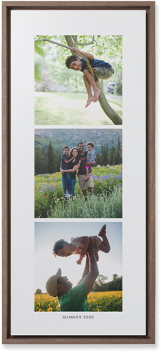 Three of a Kind Portrait Wall Art, Walnut, Single piece, Mounted, 10x24, Multicolor