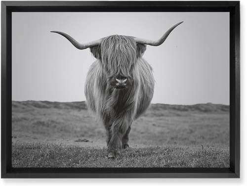 Highland Cattle Wall Art, Black, Single piece, Mounted, 10x14, Multicolor