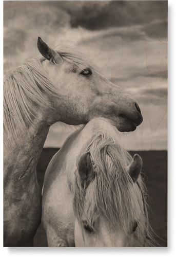 Black and White Horses Wall Art, Single piece, Wood, 24x36, Multicolor
