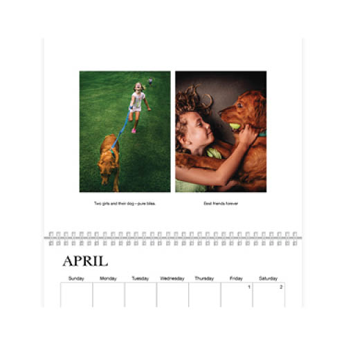 Classic White Wall Calendar, 8x11